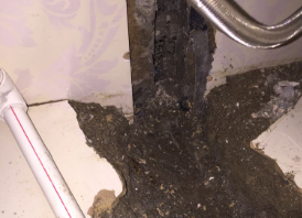 容城县卫生间测漏水哪家好